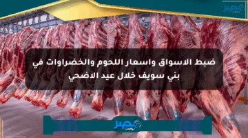 ضبط الأسواق وأسعار اللحوم والخضراوات في بني سويف خلال عيد الأضحى